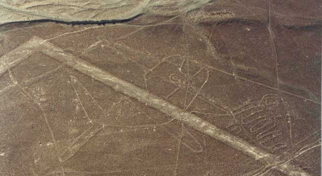 ballena-de-nasca ballena-de-nasca