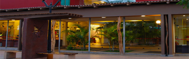 Tours sobreuelos las lineas de nasca