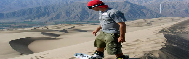 figura araña figura araña