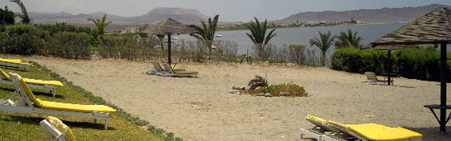 Condor Resort Condor Resort