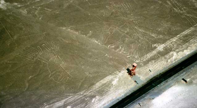 figura colibri figura colibri