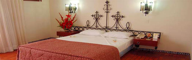 figura colibri figura colibri