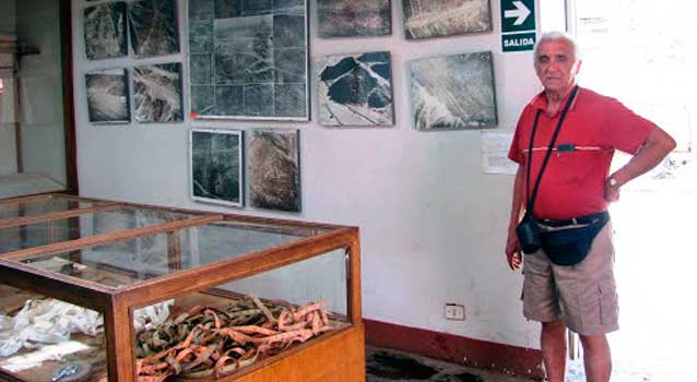 figura araña figura araña