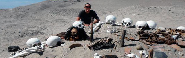 figura colibri figura colibri